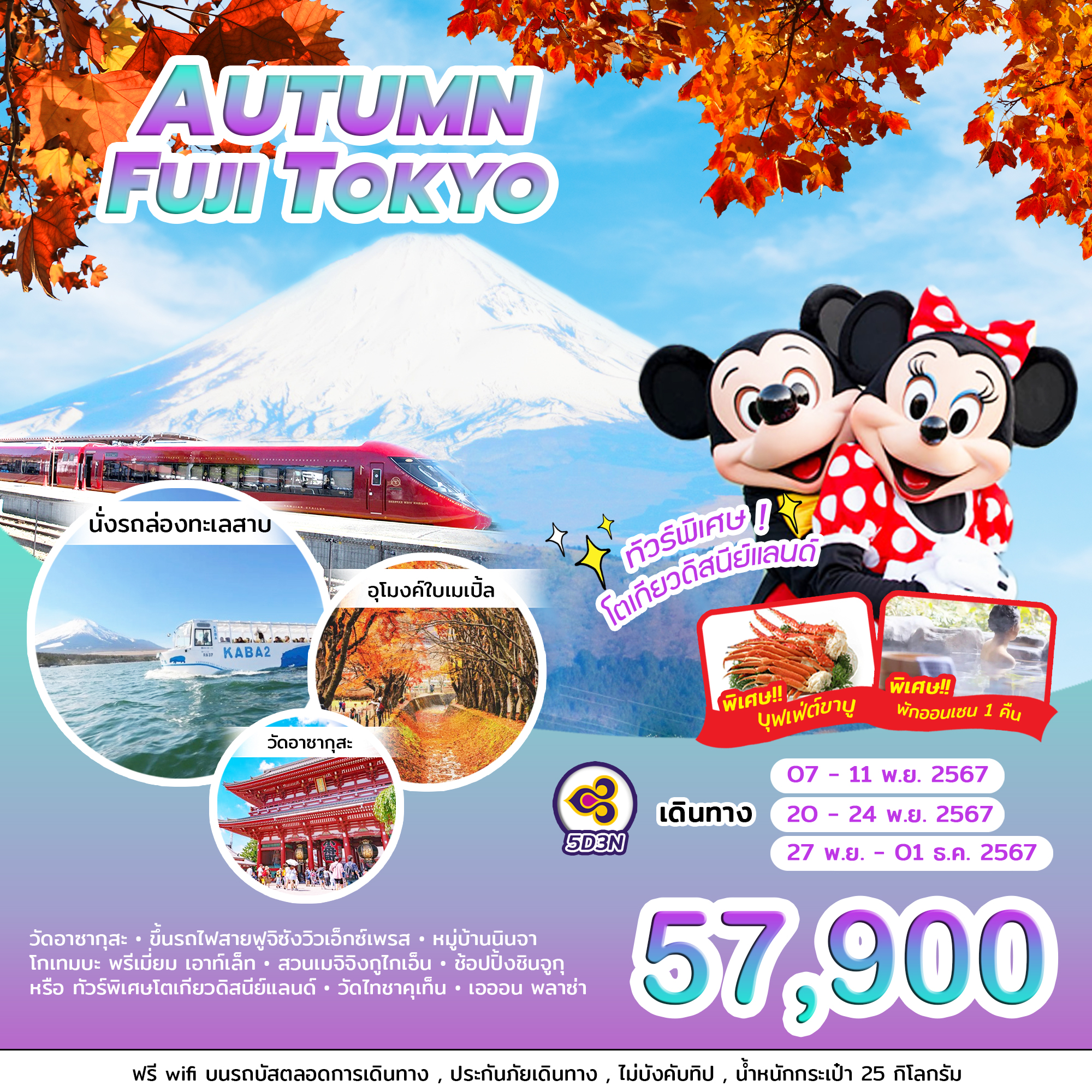 ทัวร์ญี่ปุ่น AUTUMN FUJI TOKYO 5วัน 3คืน (TG)